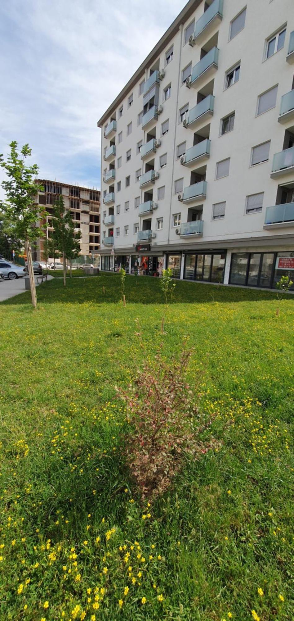 Odmor U Podgorici. Lägenhet Podgorica Exteriör bild